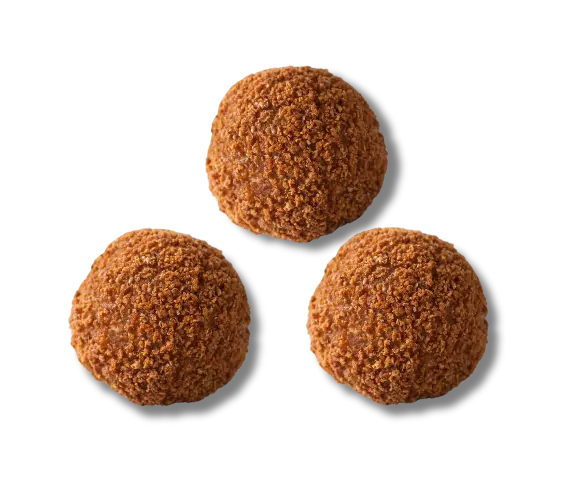 Bitterballen